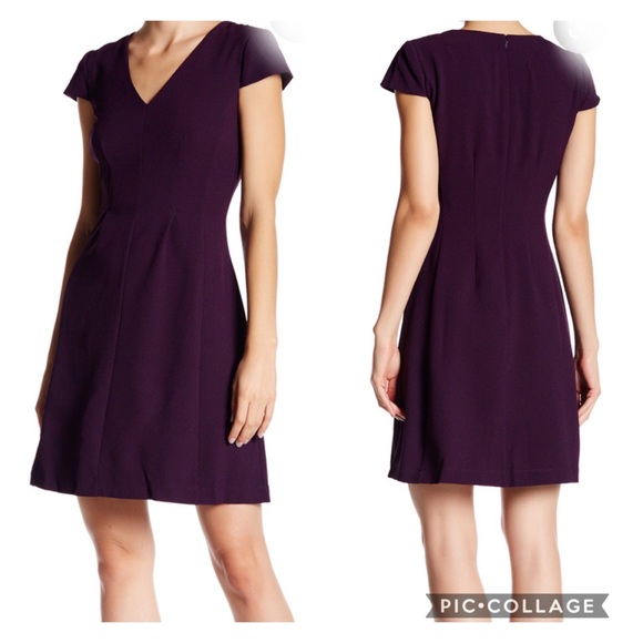 Eliza J Dresses & Skirts - Eliza J Cap Sleeve Fit and Flare Dress Purple Sz 8